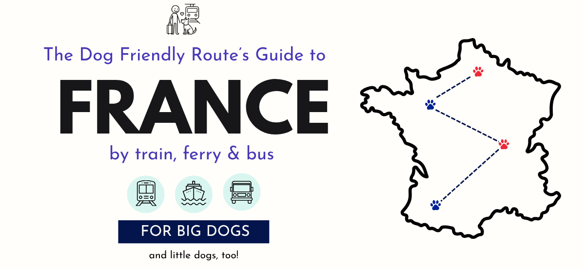 Illustrated map of France with a paw-print route